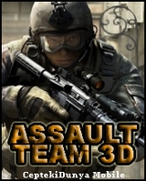 Assault-team-3d2